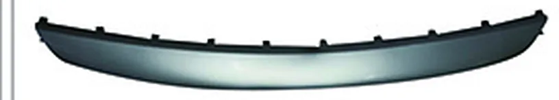 FRONT BUMPER LOWER MOLDING