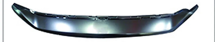 FRONT BUMPER BRIGHT TRIM MOLDING ASSEMBLY